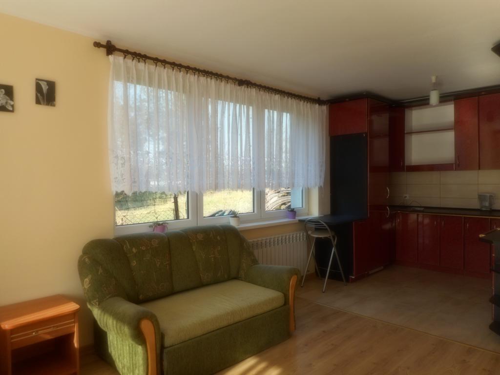 Przy Lesie Apartment Nowe ภายนอก รูปภาพ